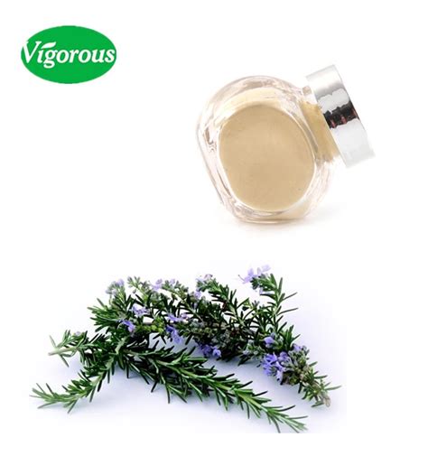 Natural Strong Antioxidant Preservative Rosemary Extract Powder 20% 30% Rosmarinic Acid - Buy ...