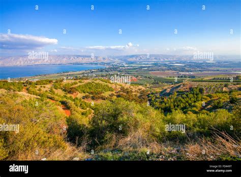 Israel, lower Galilee landscape, Overlooking the sea of Galilee ...