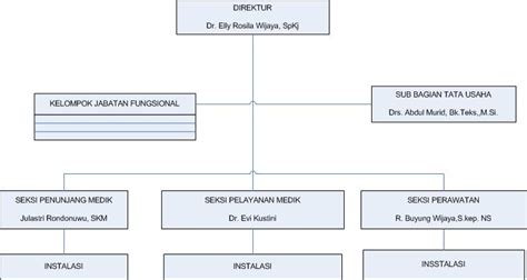 Struktur Organisasi ~ RUMAH SAKIT JIWA PROVINSI NTB