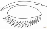 Eyes With Lashes Clip Art Vector Sketch Coloring Page sketch template