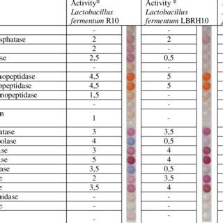 Enzymatic profile of Lactobacillus fermentum strains -Lactobacillus ...