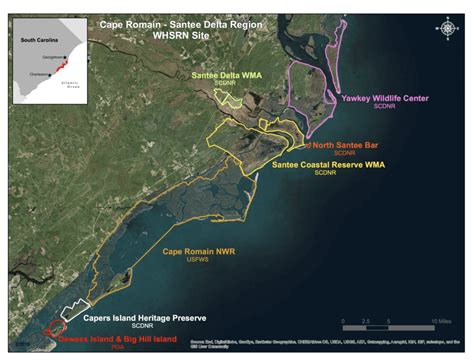 Dewees Island of International Significance to Shorebirds - Dewees Island, Charleston, SC