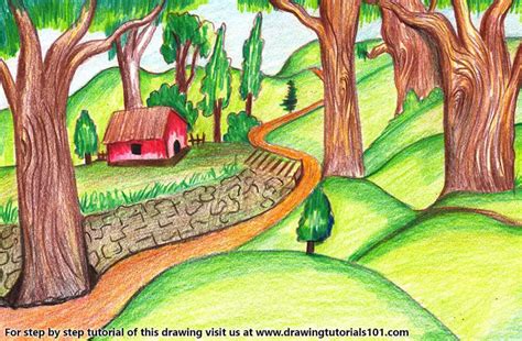 How to Draw a Forest Scene (Forests) Step by Step | DrawingTutorials101.com