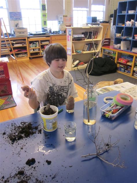 Monhegan Madness: Science Plant Experiments!