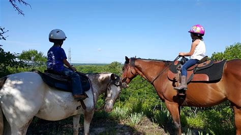 Standard Horseback Riding Lessons | Breaking Boundaries & Empowering Lives!