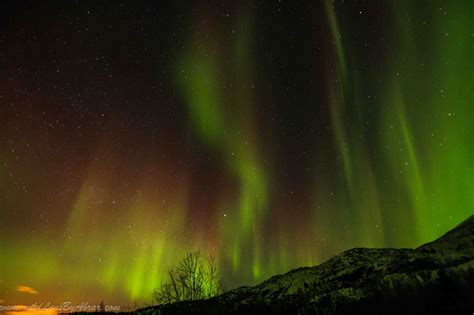 Things to Do in Alta Norway | WildLens by Abrar