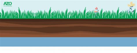 Investigating the Importance of Groundwater