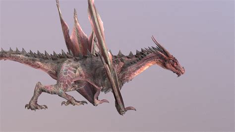 Wyvern Dragon Animated - Buy Royalty Free 3D model by aaokiji [f1c13ad] - Sketchfab Store