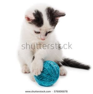 kittens playing with yarn - Kittens Photo (41551182) - Fanpop