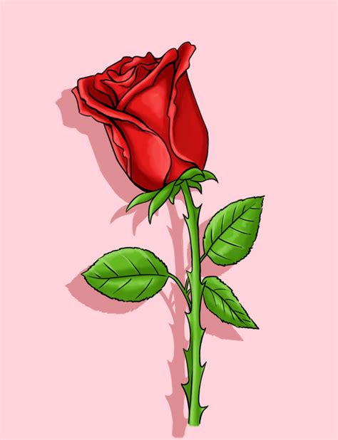 3 Ways to Draw a Rose - wikiHow