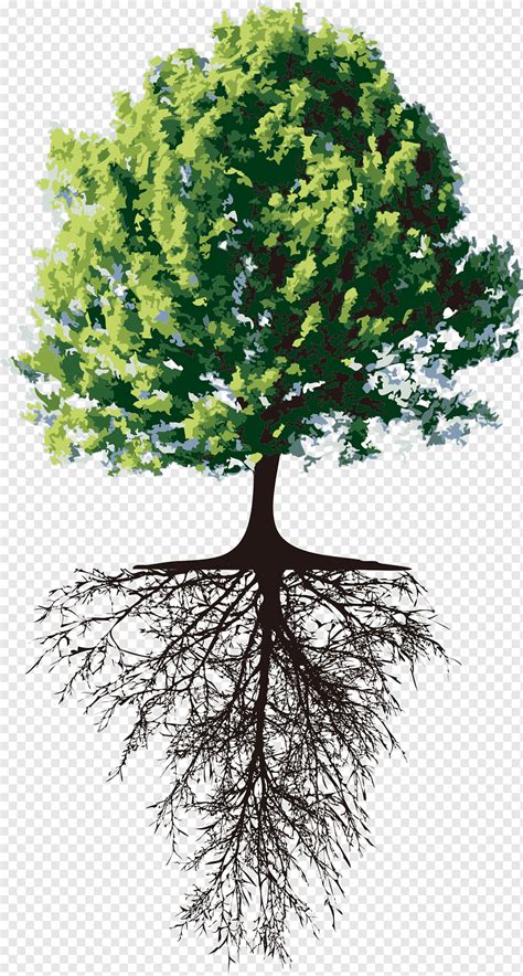 Tree, tree, root, environmental protection png | PNGWing