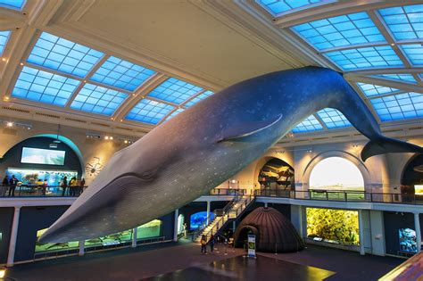 The 10 Best New York City Museums