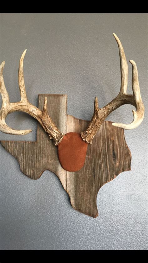 a deer's head mounted to the wall with antlers and a red circle