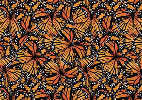 Monarch Butterfly Pattern Digital Art by Eclectic at Heart - Pixels