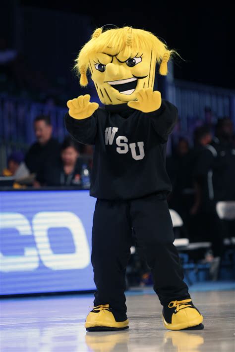 UFC Wichita photos: What the hell is this Shocker mascot, anyway ...