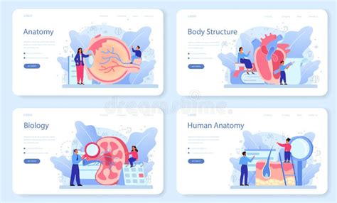 Anatomy School Subject Web Banner or Landing Page Set. Internal Stock Vector - Illustration of ...