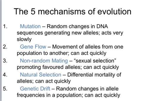 Solved The 5 mechanisms of evolution 1. 2. 3. Mutation - | Chegg.com