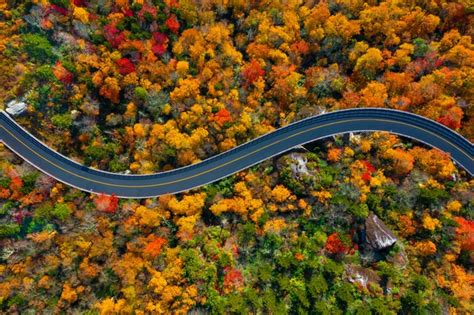 Blue Ridge Parkway Fall Colors and Best Spots To See Them