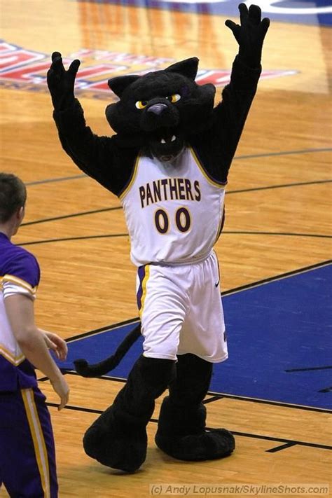 Northern Iowa Panthers mascot, TC Panther Missouri Valley, Loyola Chicago, Sports Advertising ...