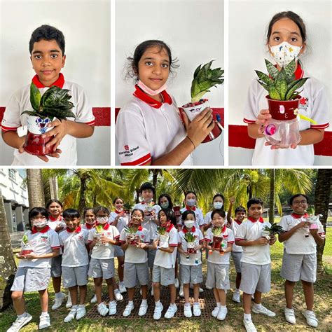 ECO Club Demonstrates Gardening Skills and Sustainability - elc International School