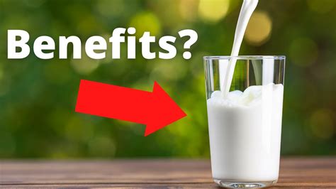 Is Raw Milk Healthy? | 5 Proven Raw Milk Benefits – Instant Pot Teacher