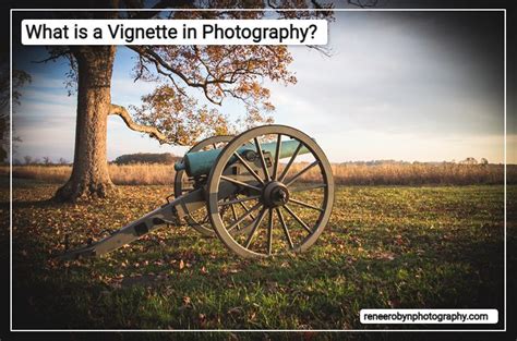 What is a vignette in photography? - Renee Robyn