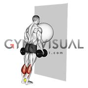 Exercise Ball on the Wall Calf Raise (tennis ball between ankles)