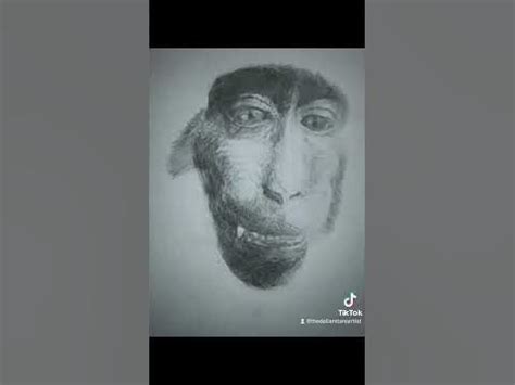 rizz monkey drawing - YouTube