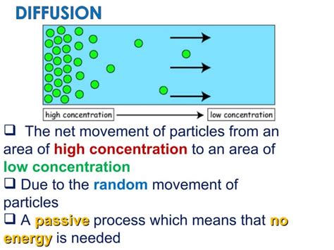 Biological examples of diffusion | PPT