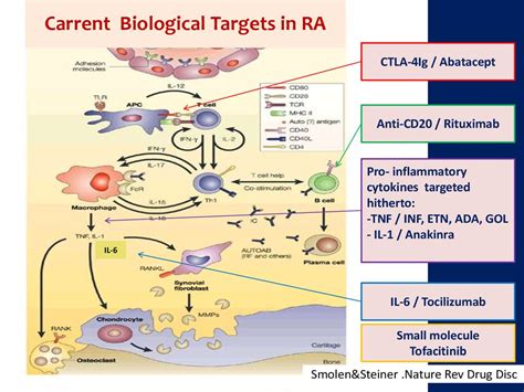 Biologics in Rheumatology - online presentation