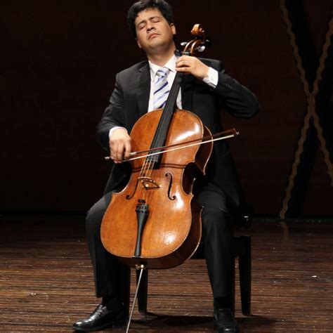 Frequently Asked Questions Relating to the Cello - Top 20 - Musical Instrument Hire Co