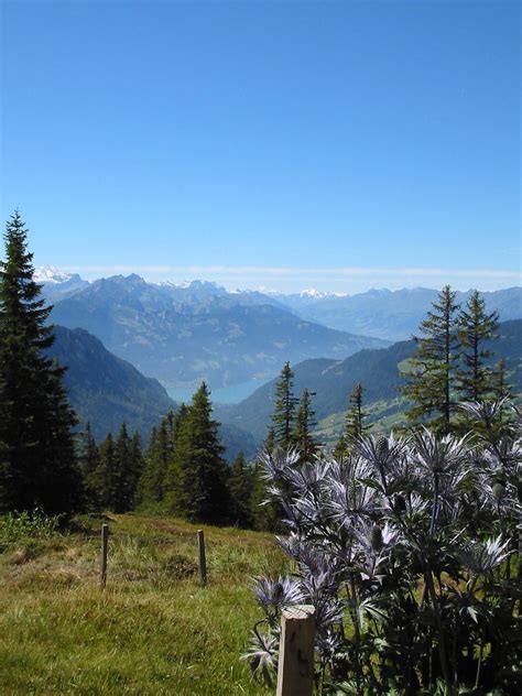 Interlaken | above interlaken hiking. Virtually On the other… | Flickr