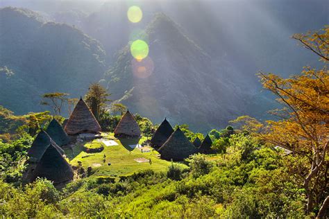 Winning photos show the magic of Indonesia’s forests - PEFC - Programme ...