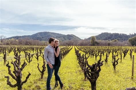 Best Time to Visit Napa Valley | Ideal Months and Seasons • Abroad with Ash