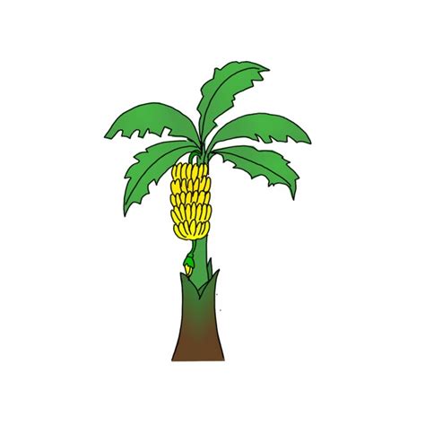 How to Draw a Banana Tree - Step by Step Easy Drawing Guides - Drawing ...