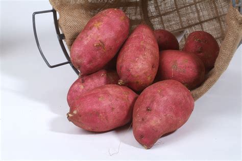 Sweet Potato Variety Descriptions