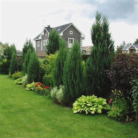 47 Cheap Privacy Landscaping Ideas | Privacy landscaping, Backyard ...