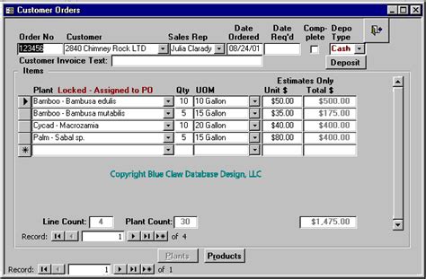 Microsoft Access Database Design