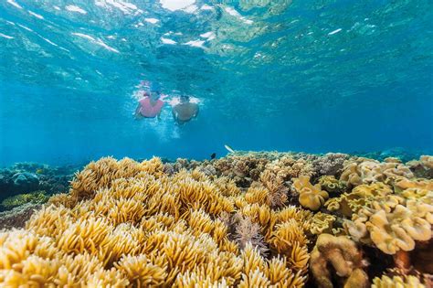 Can Indigenous tourism protect the Great Barrier Reef? | Adventure.com