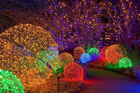 Denver Botanic Gardens Blossoms of Light | 2024-25 Nov-Jan Holiday Event