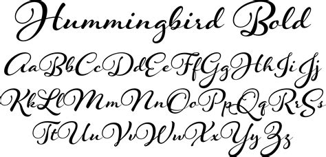 Fancy Bold Cursive Fonts