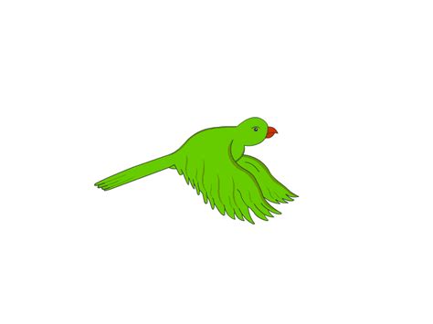 Parrot Flying Gif