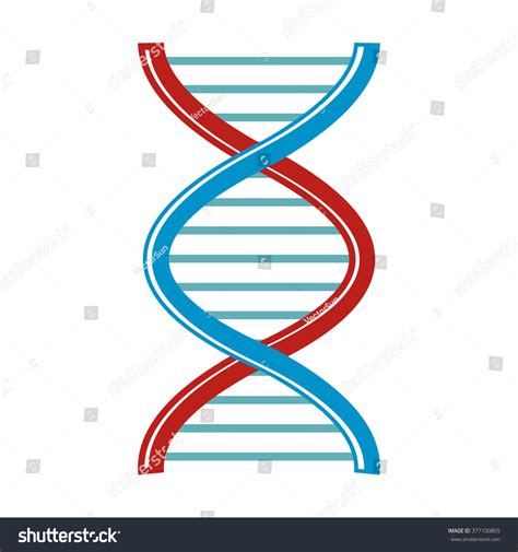 Dna Cartoon Icon Isolated On White Stock Vector (Royalty Free) 377100805 | Shutterstock