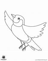 Printable Bird Colouring Pages For Your Child sketch template