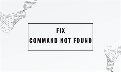Fix “command not found” error - Coding Beast