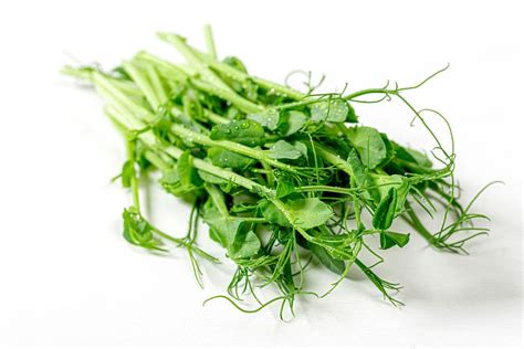 Micro greens pea on a light background. Healthy eating concept (Flip 2019) - Creative Commons Bilder