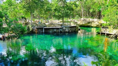 Mayan Cenotes Experience with Mayan Ruins or Local Community