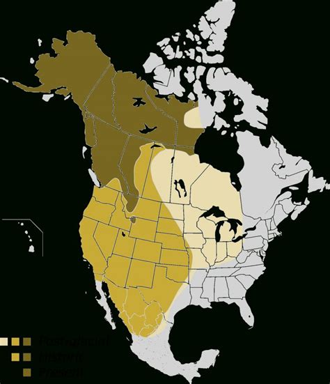 Historic And Present Range Of The Grizzly Bear [Os][1719X1992] : Mapporn - Bears In California ...