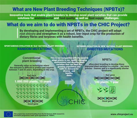 New Plant Breeding Techniques (NPBTs) - CHIC Project