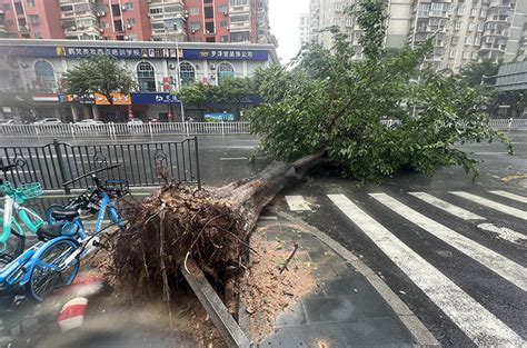 [In Photos] Xiamen Stops to Await China's Strongest Typhoon in 2023